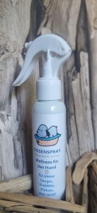 Kissenspray