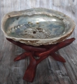 Bild 3 von Abalone Muschel - mit Holzdreibein