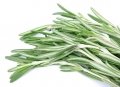 Hydrolat Rosmarin