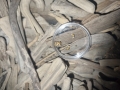 Bild 3 von WIRBELSÄULE GOLD