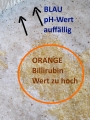 Bild 2 von Urine Home Check