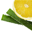 Bild 1 von Hydrolat Aloe Vera mit Zitrone